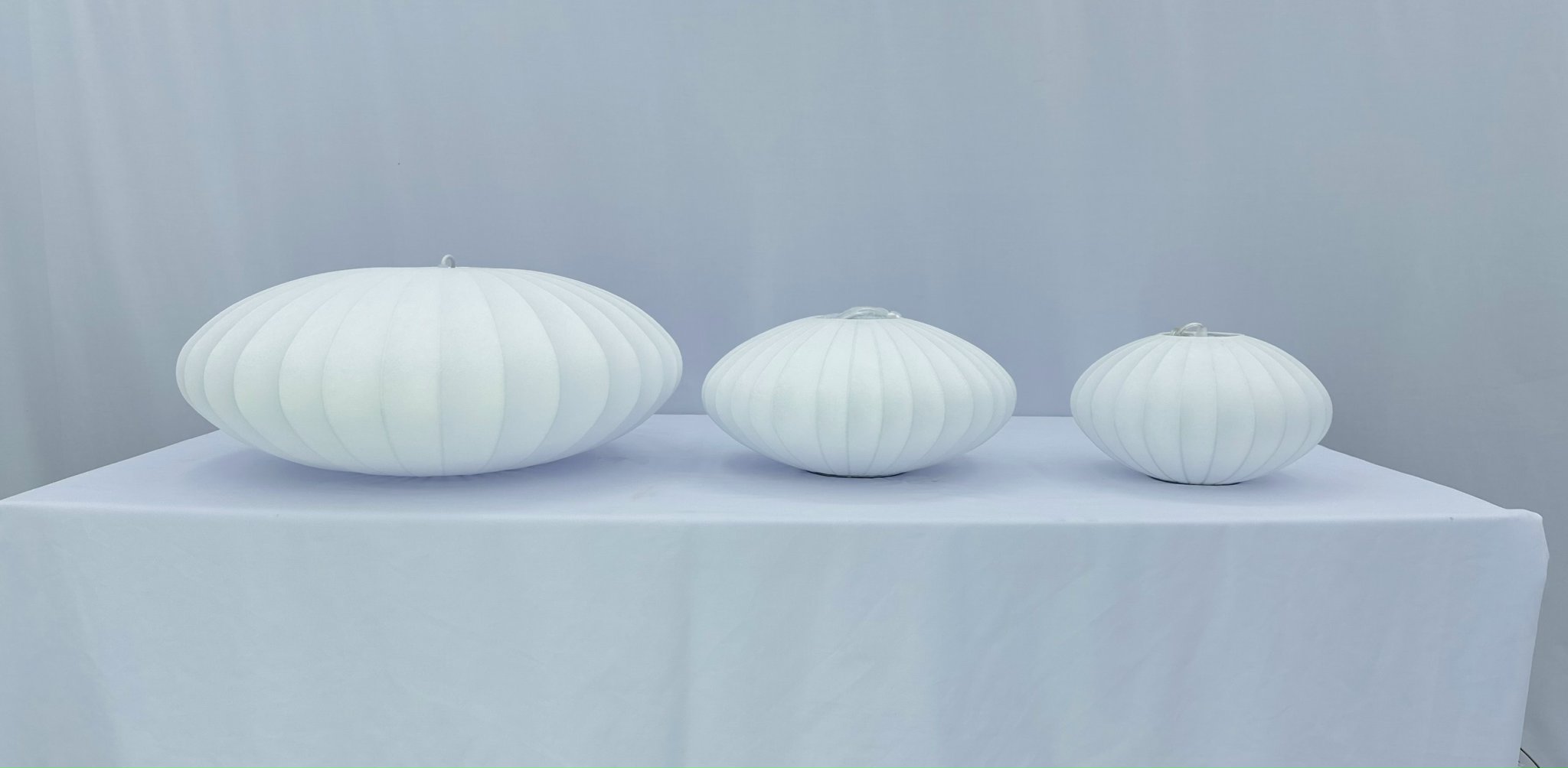 z5725827642458_25fc6218b43e68fc613ca593cedbc9bf