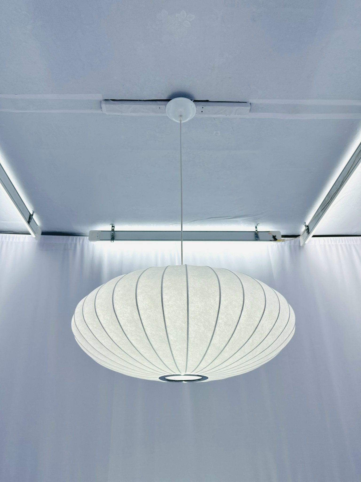 z5725827734050_fed12e4af5b9a9a8b02d8ca9d3d4d9c2