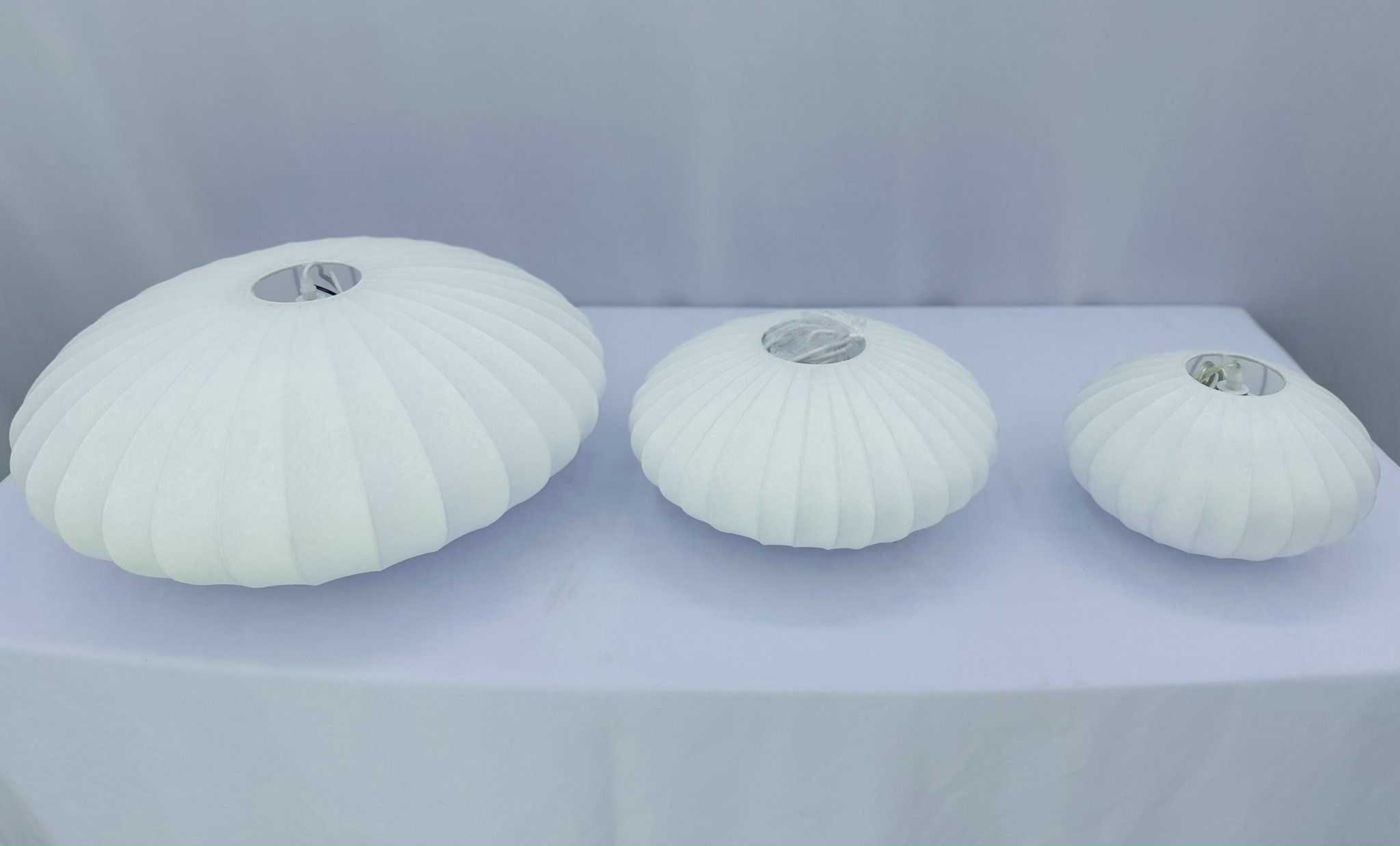 z5725827841449_ad0b9d9d84045f6caf36515399406a84