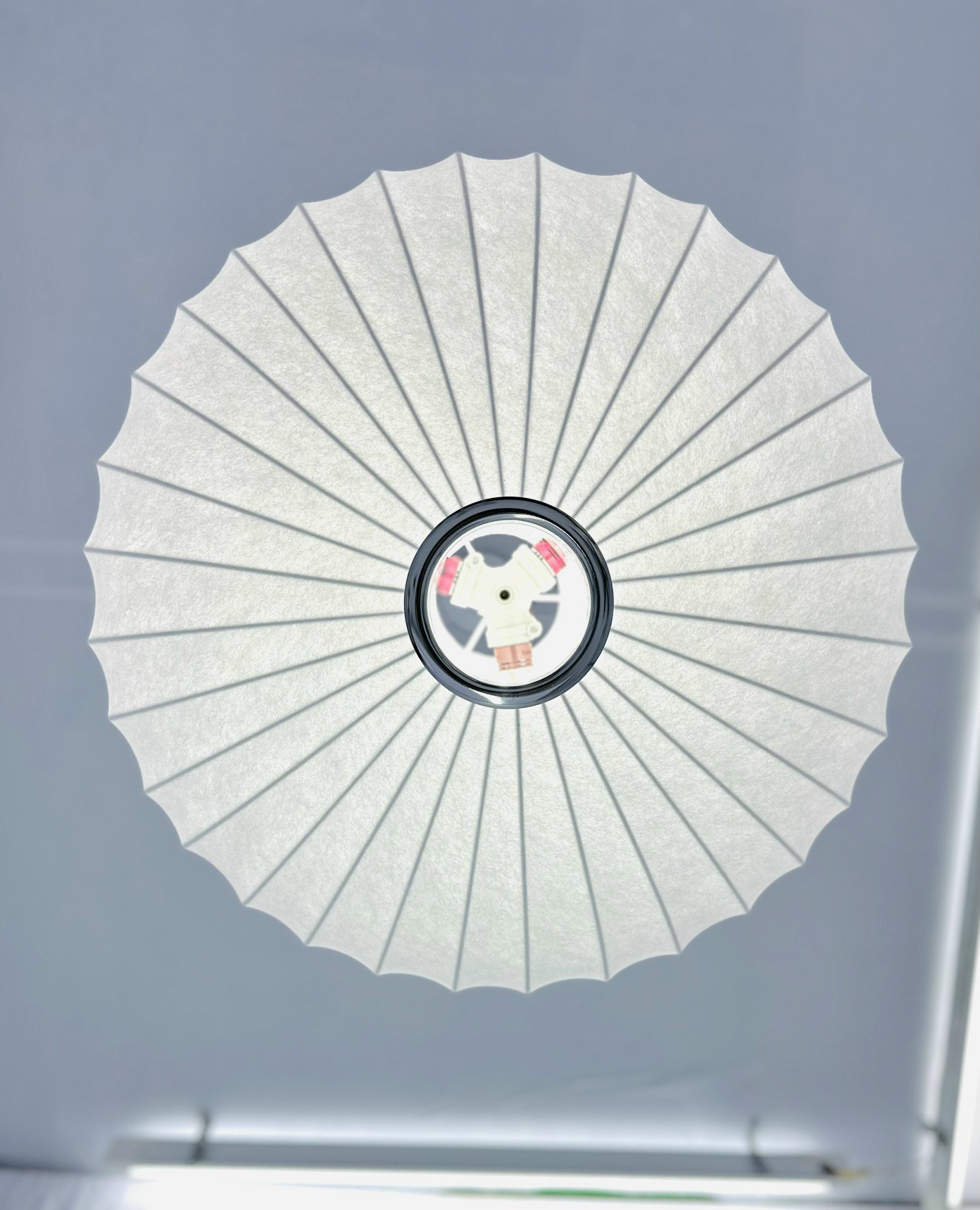 z5725828281784_73b644d98e94e7bcc18ee5f51302dda3