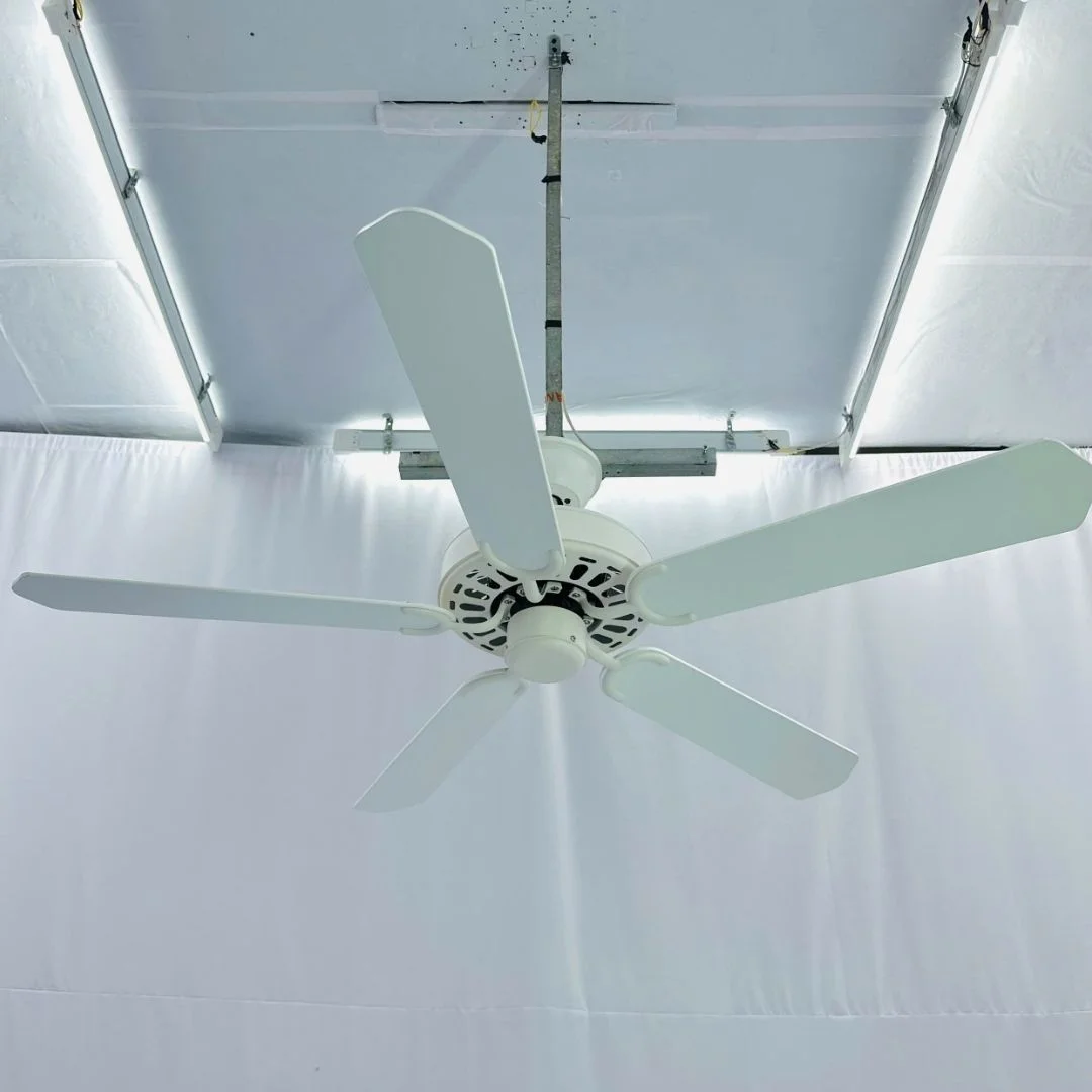 quat-tran-qt34-3 Quạt Trần QT34 3