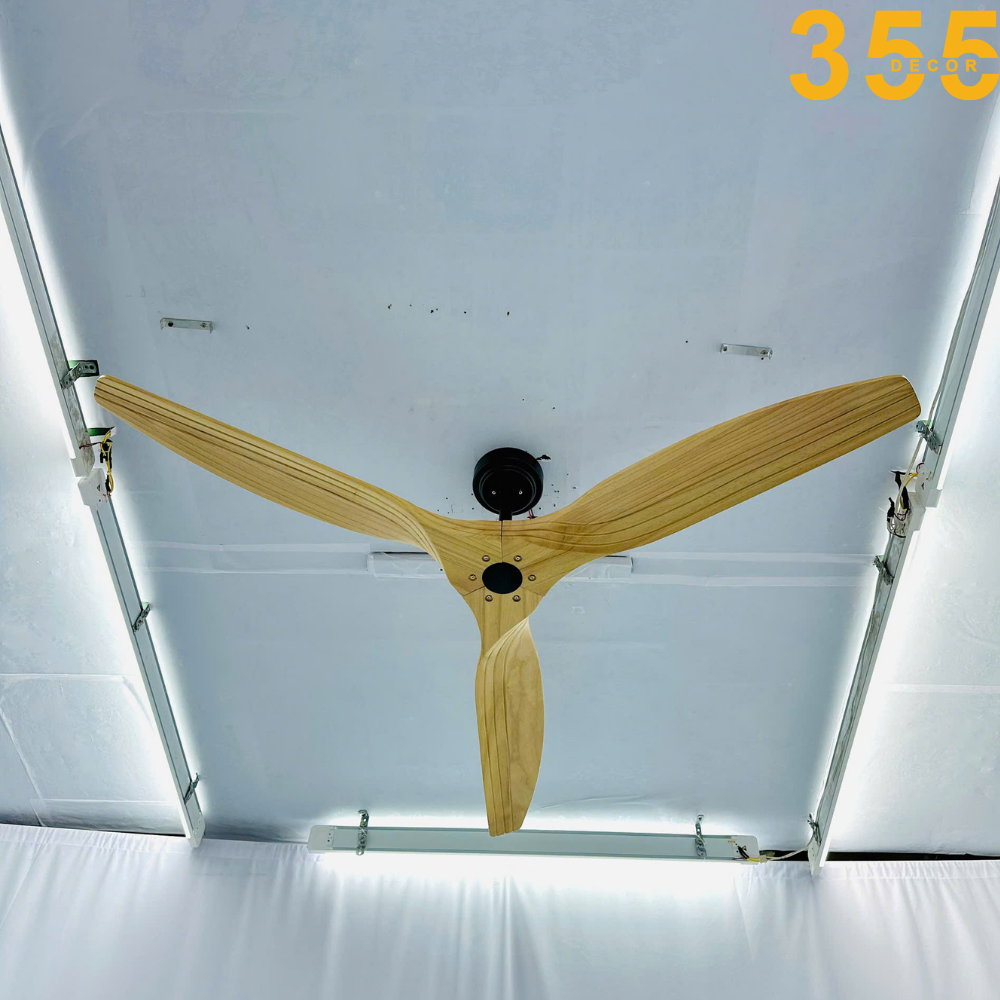 quat-tran-qt51-355-decor-4